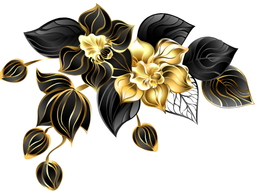 DesignHumain