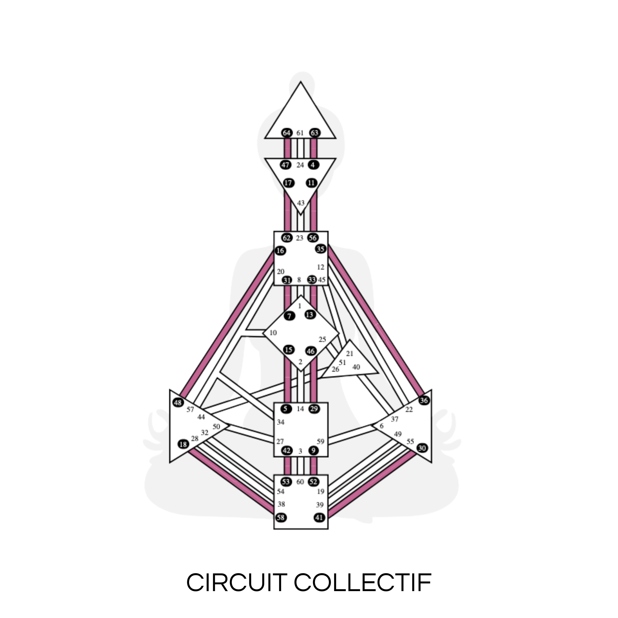 Circuit collectif design humain