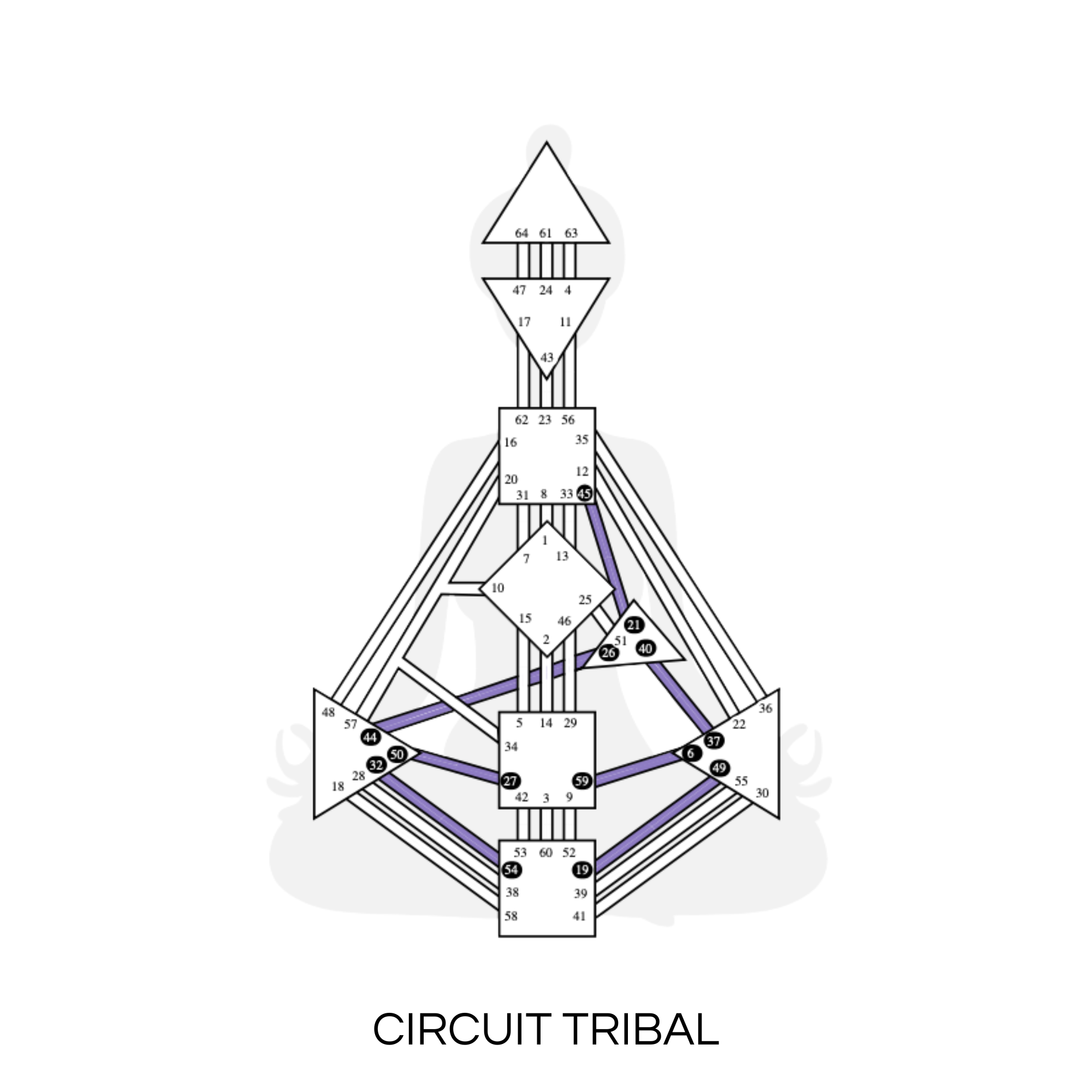 Circuit tribal design humain